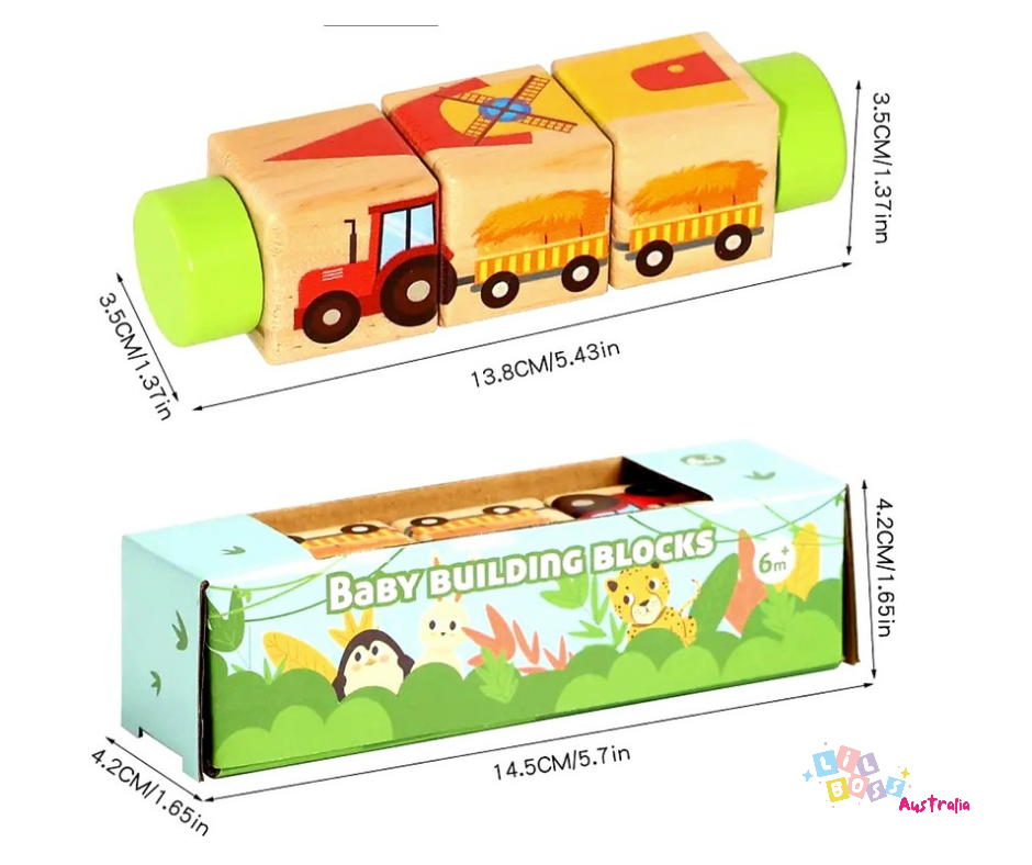 Baby Montessori Puzzle Block