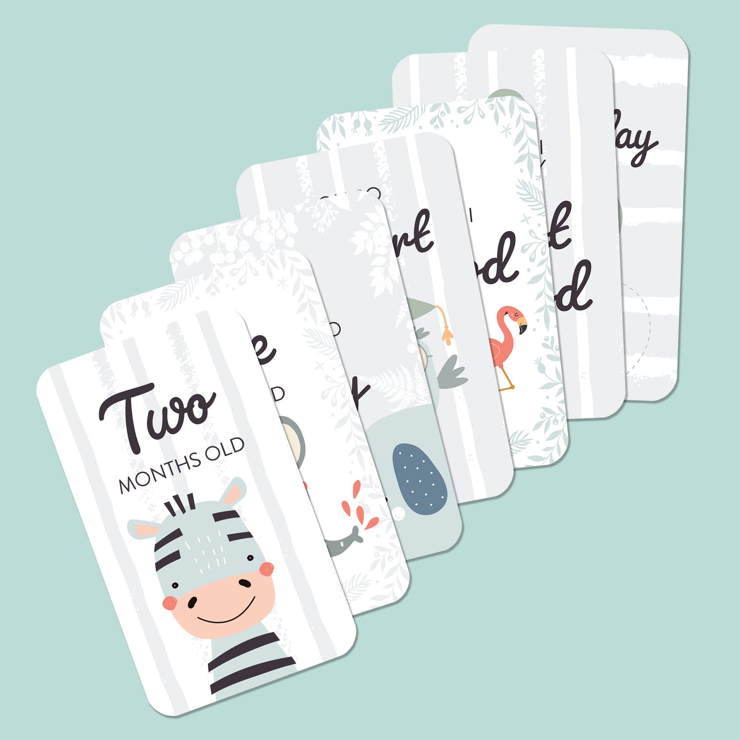Baby Milestone cards plus free record book