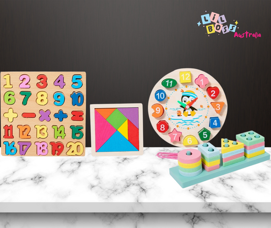 Montessori Puzzle set