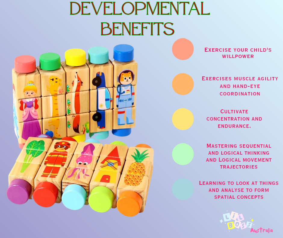 Baby Montessori Puzzle Block