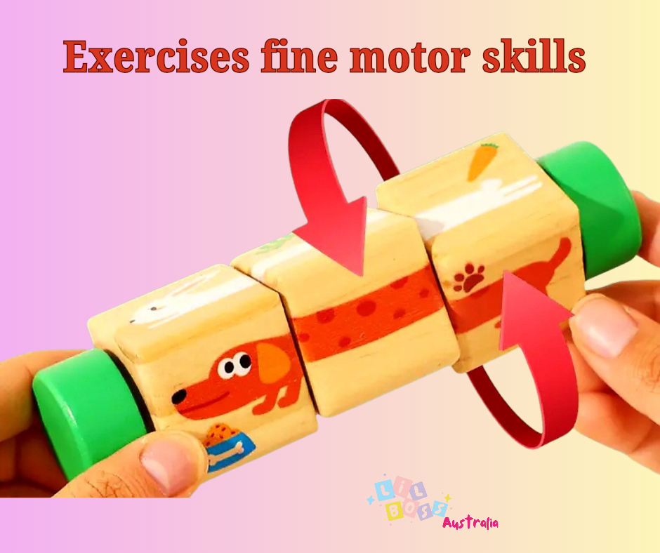 Baby Montessori Puzzle Block