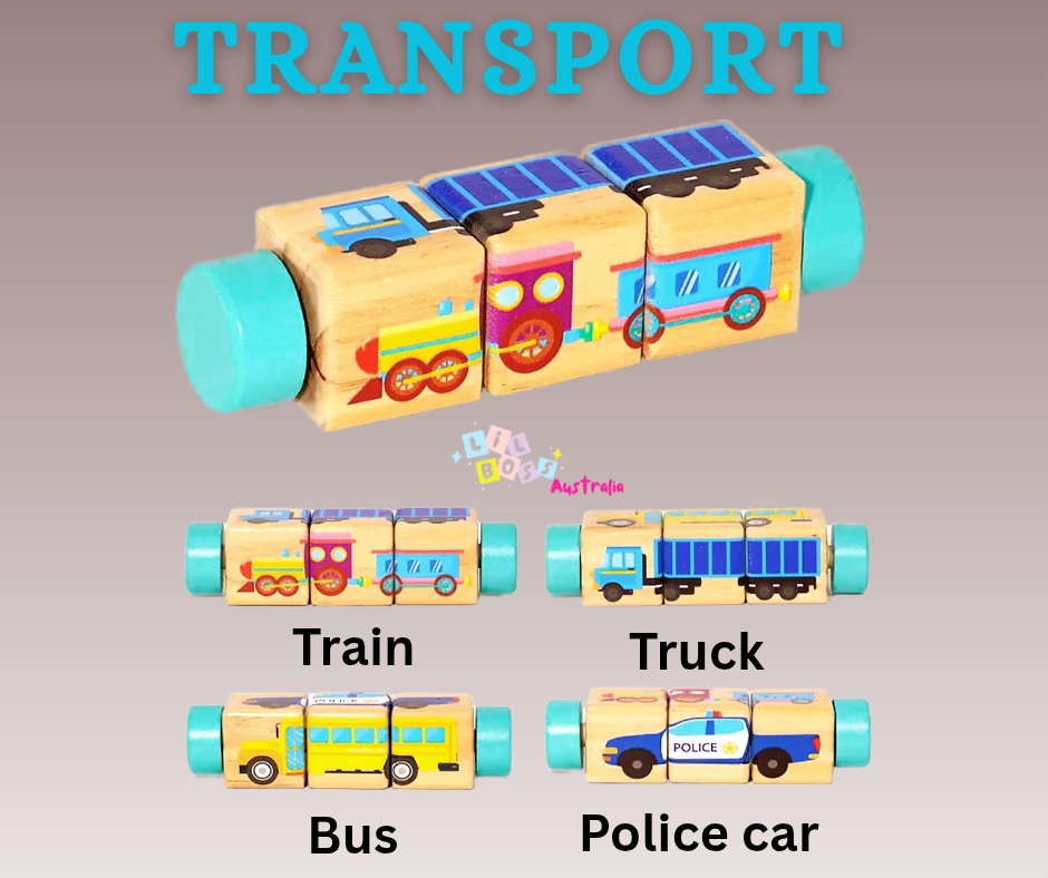 Baby Montessori Puzzle Block