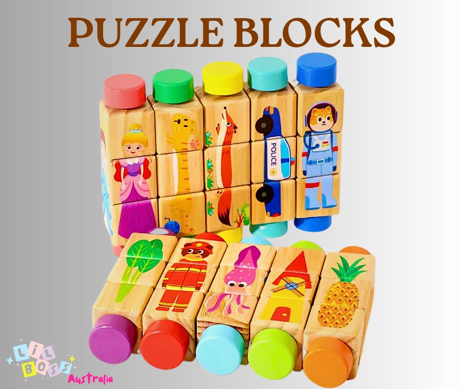 Baby Montessori Puzzle Block